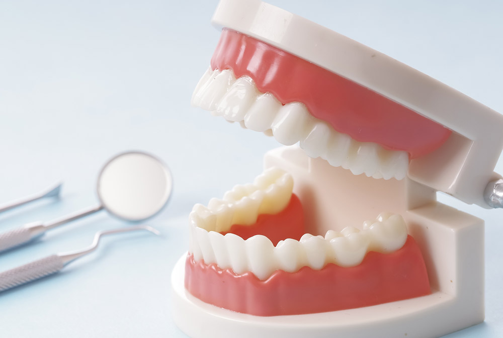 トータルサポート